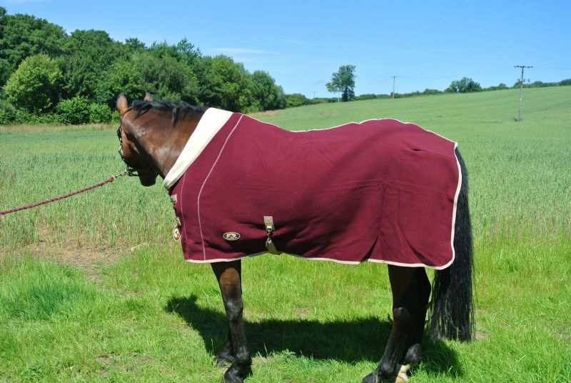 Ruggles Double Bond Fleece Rug - Maroon